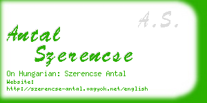 antal szerencse business card